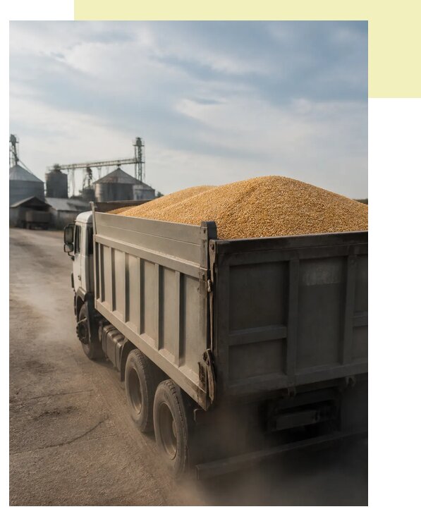 Перевозка сельхозпродукции навалом в Скопин по цене от 3126 р. | Агросервис-Скп