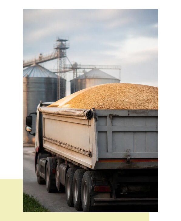 Автомобильная перевозка зерна и зерновых культур в Скопин